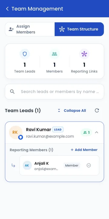 Team structure screen showing a team lead with one reporting member